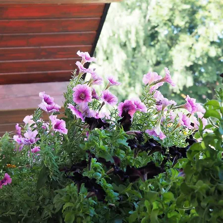 منزل للإقامة Dom Morski *