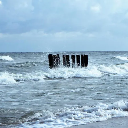 Dom Morski منزل للإقامة سيانوزيتي