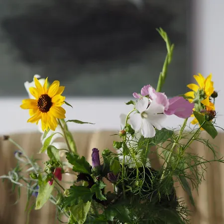 Dom Morski منزل للإقامة