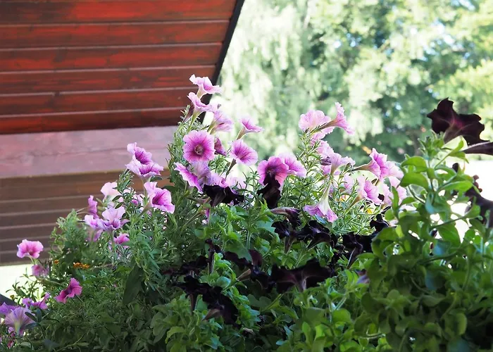 منزل للإقامة Dom Morski *