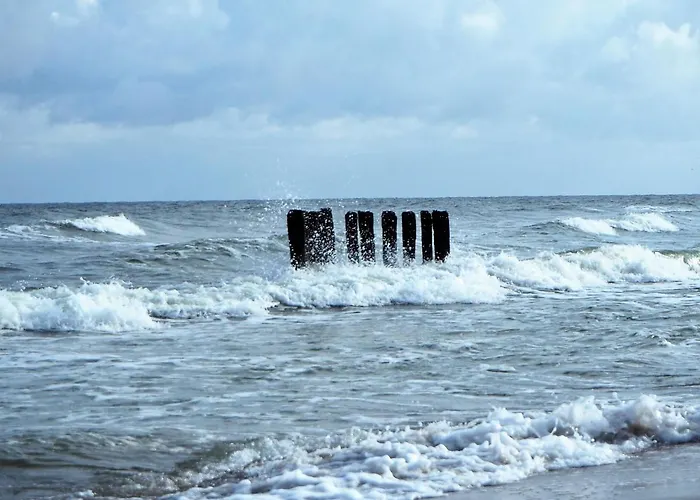 Dom Morski منزل للإقامة سيانوزيتي