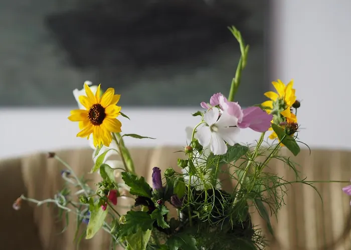 Dom Morski منزل للإقامة